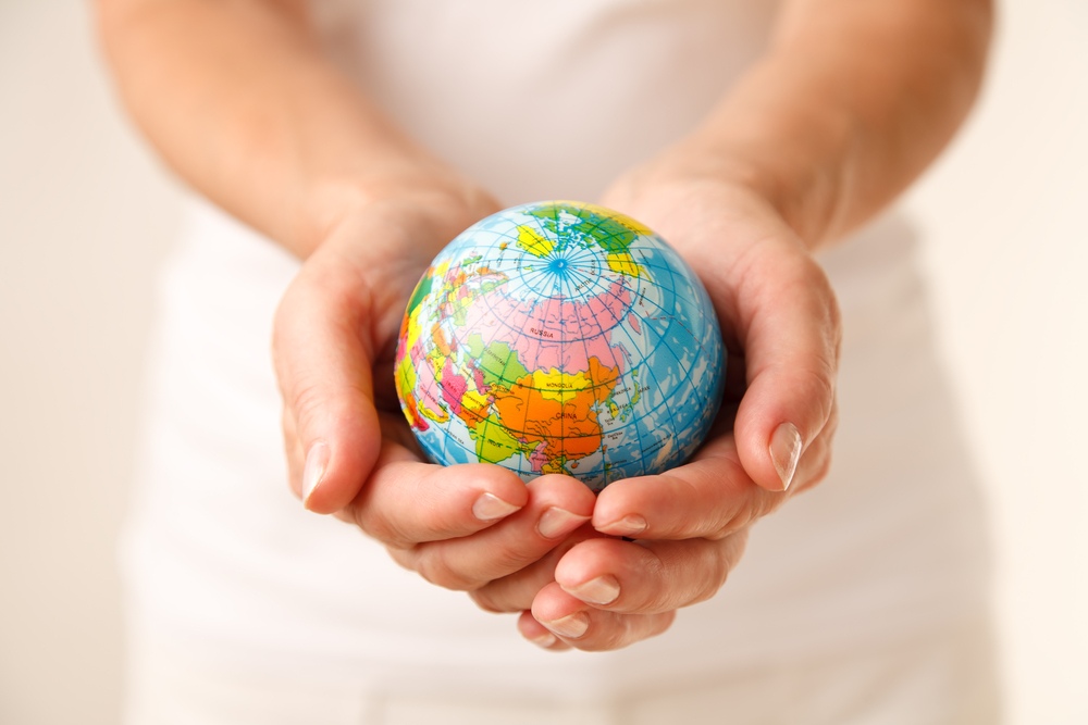 Key Principles of Public Procurement: Transparency, Value, and Fairness